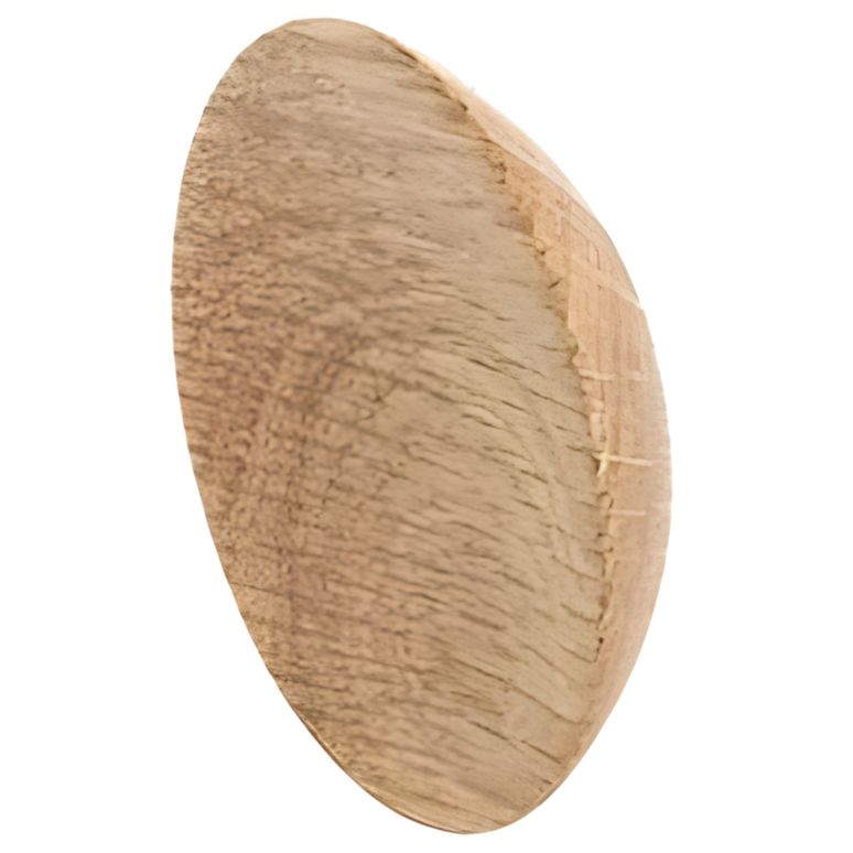 Siso Möbelknopf QUAIL aus Holz, Ø 64 x 18 mm
