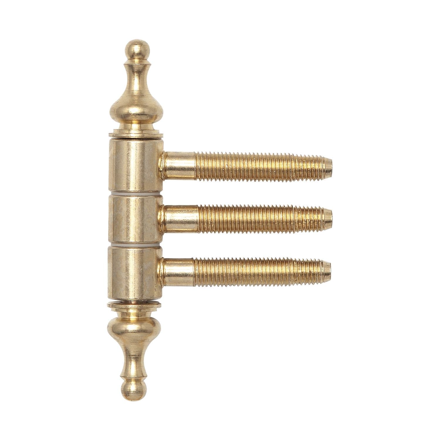 Einbohrzierband 16 mm Türband mit 3-Stufengewindebolzen vermessingt - SFS
