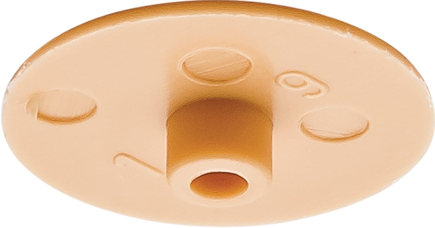 Häfele Cache pour Minifix 15 sans bordure de protection plastique six pans creux SW4, couleur pin
