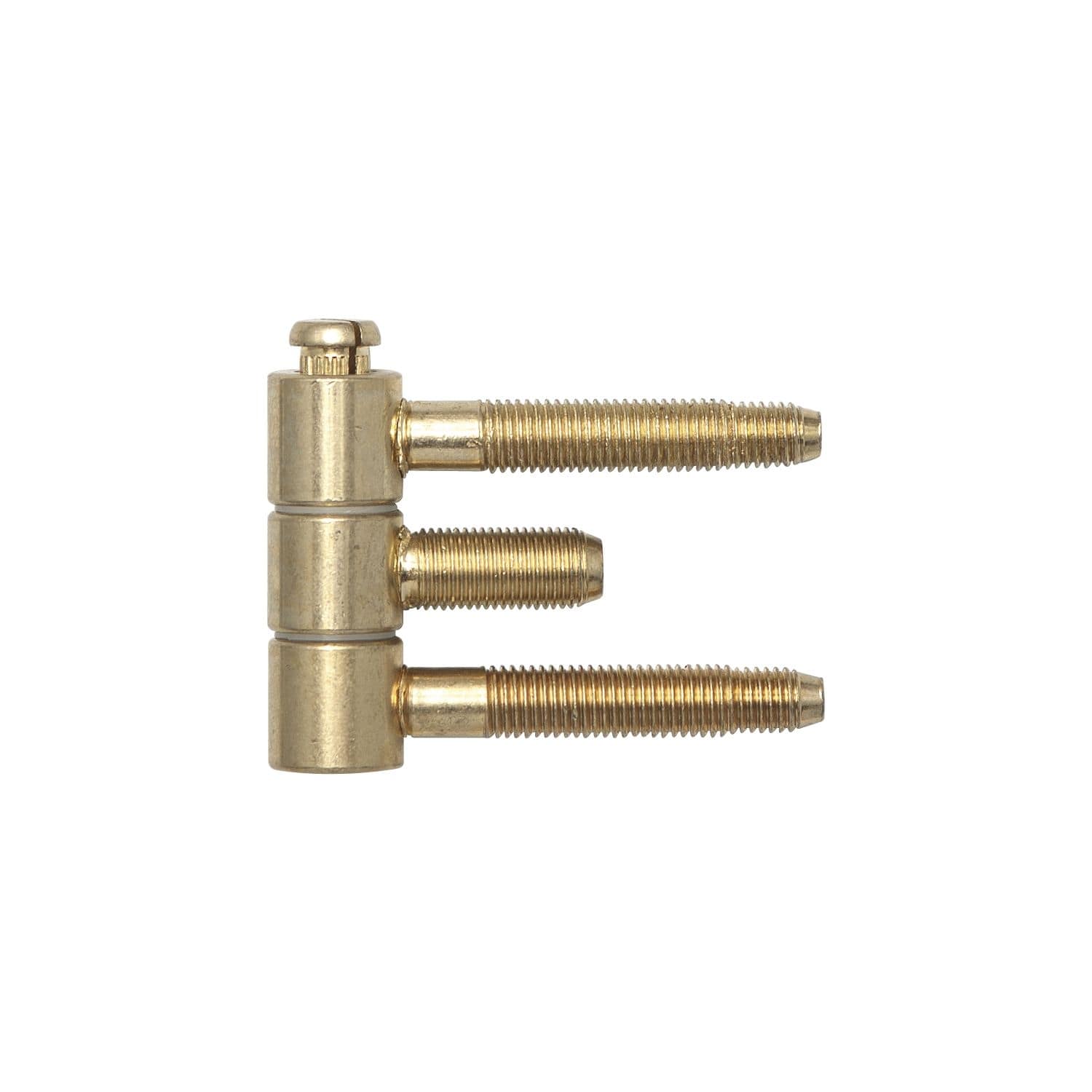 Stahlzargenband (Türband) 3-teilig Einbohrband 16x467mm Stahl vermessingt - SFS