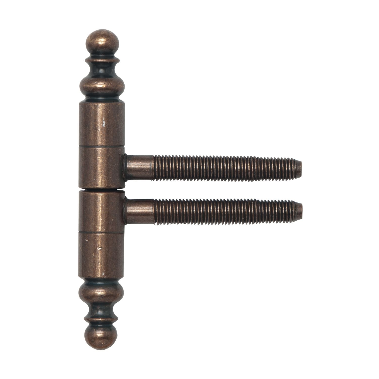 SFS Intec Cerniera a forare con testa decorativa 16 mm acciaio 2 pezzi varie superfici